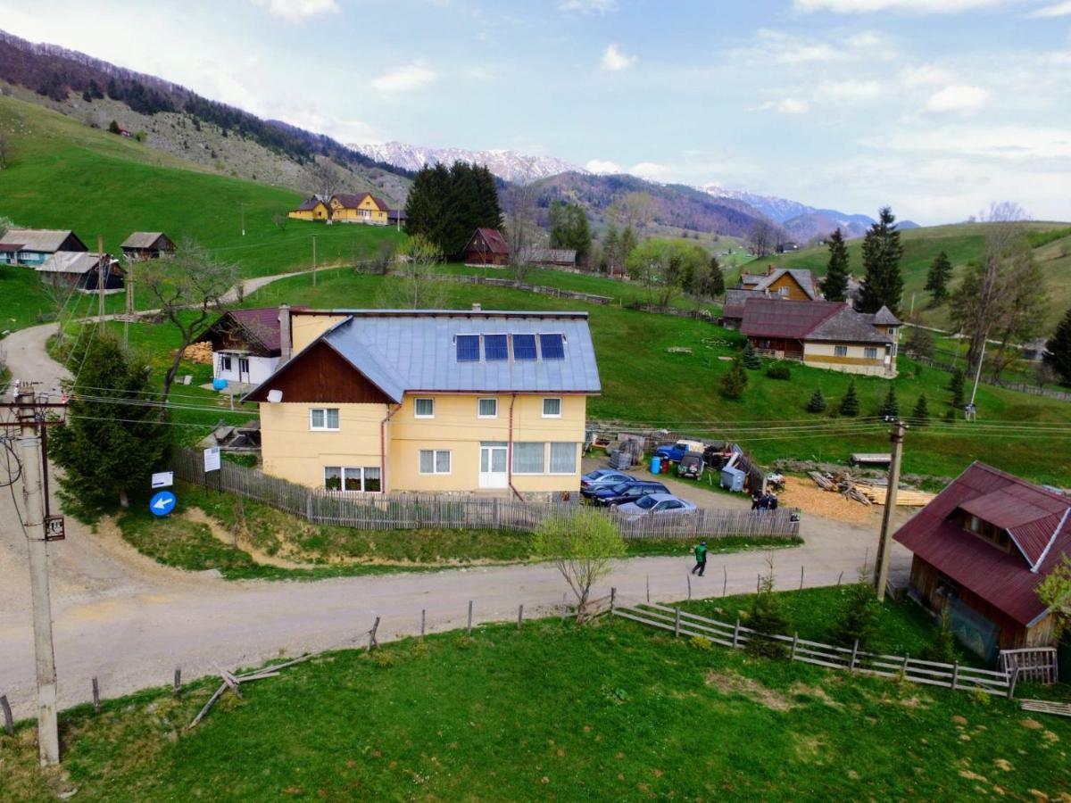 Casa Marioara Villa Şirnea Eksteriør bilde