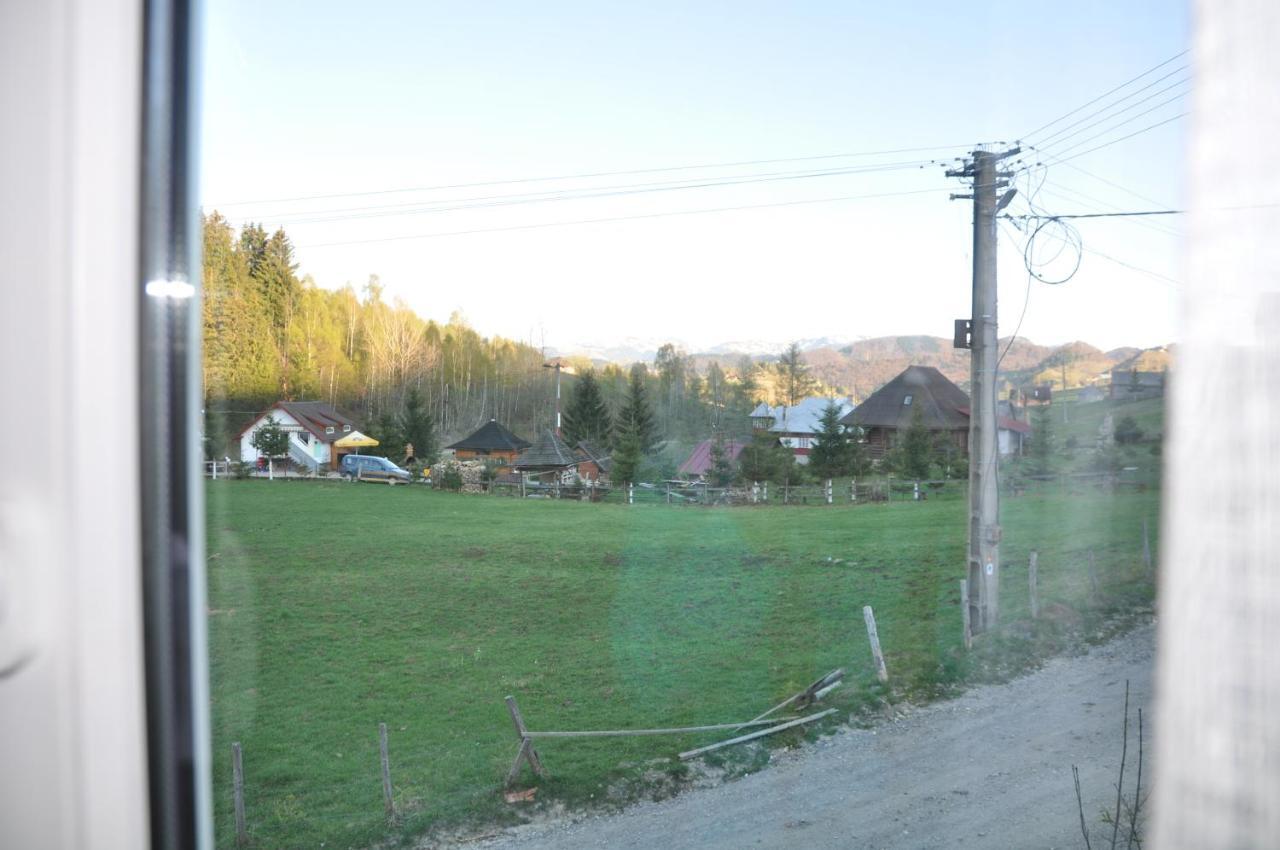 Casa Marioara Villa Şirnea Eksteriør bilde